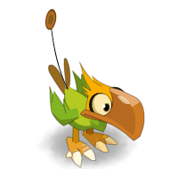 Kwak de Terre